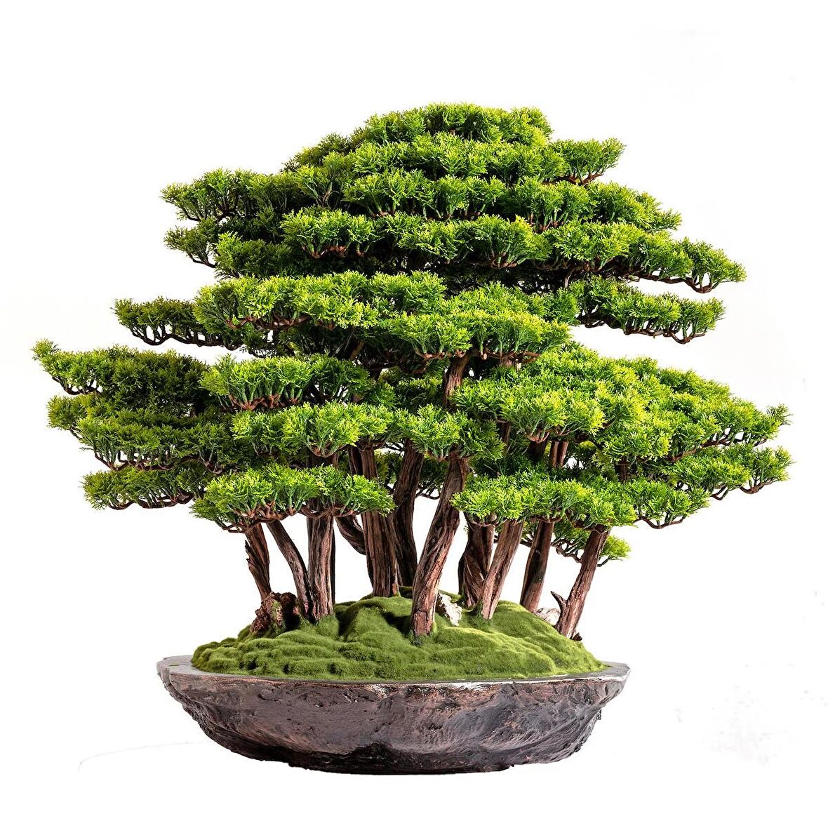 Callisto Bonsai Garden - Iç Ve Dış Mekan Kullanımına Uygun Premium Kalitede Yapay Ağaç 90x90 Cm