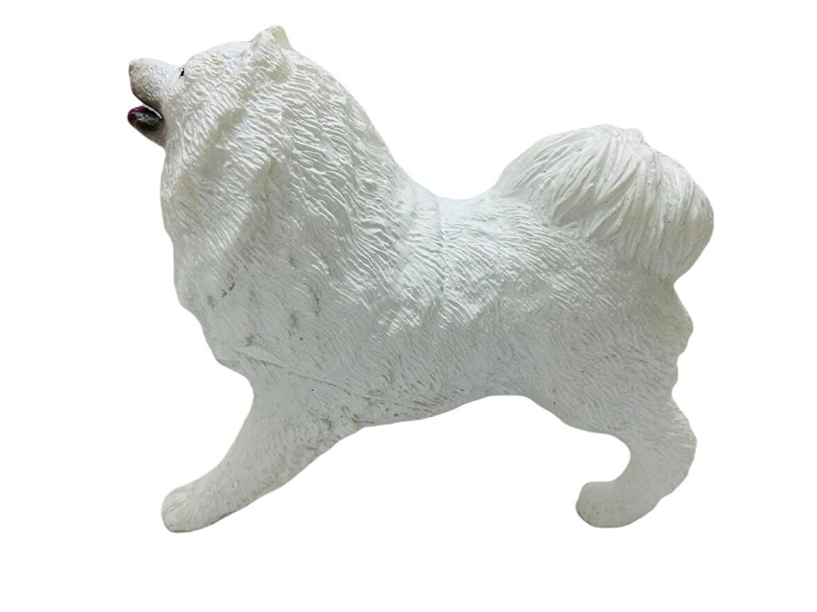 Köpekler - Samoyed Cinsi Köpek