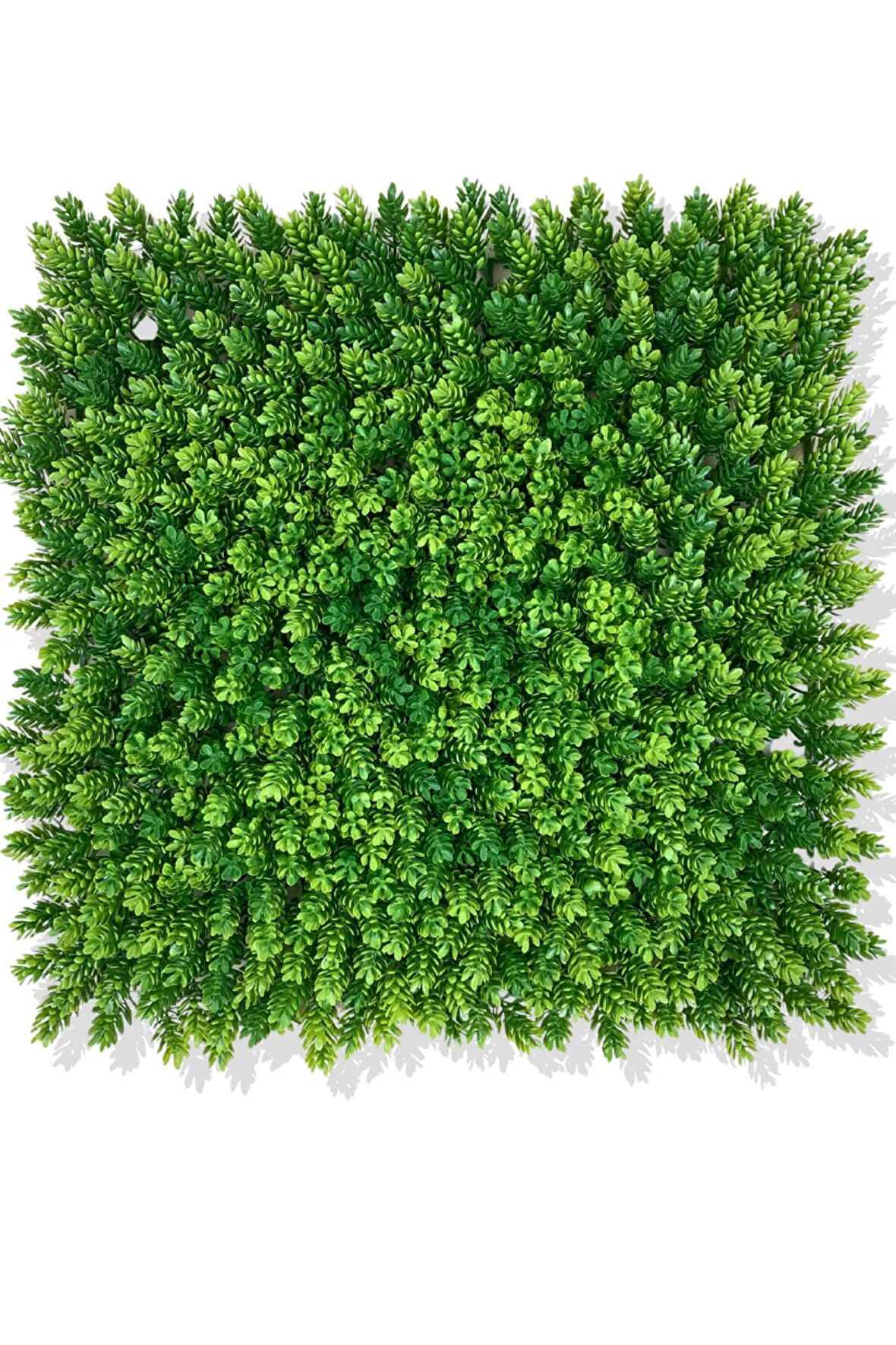 YAPAY ÇAMDALI BİTKİ DUVAR KAPLAMA 50X50 CM AÇIK YEŞİL