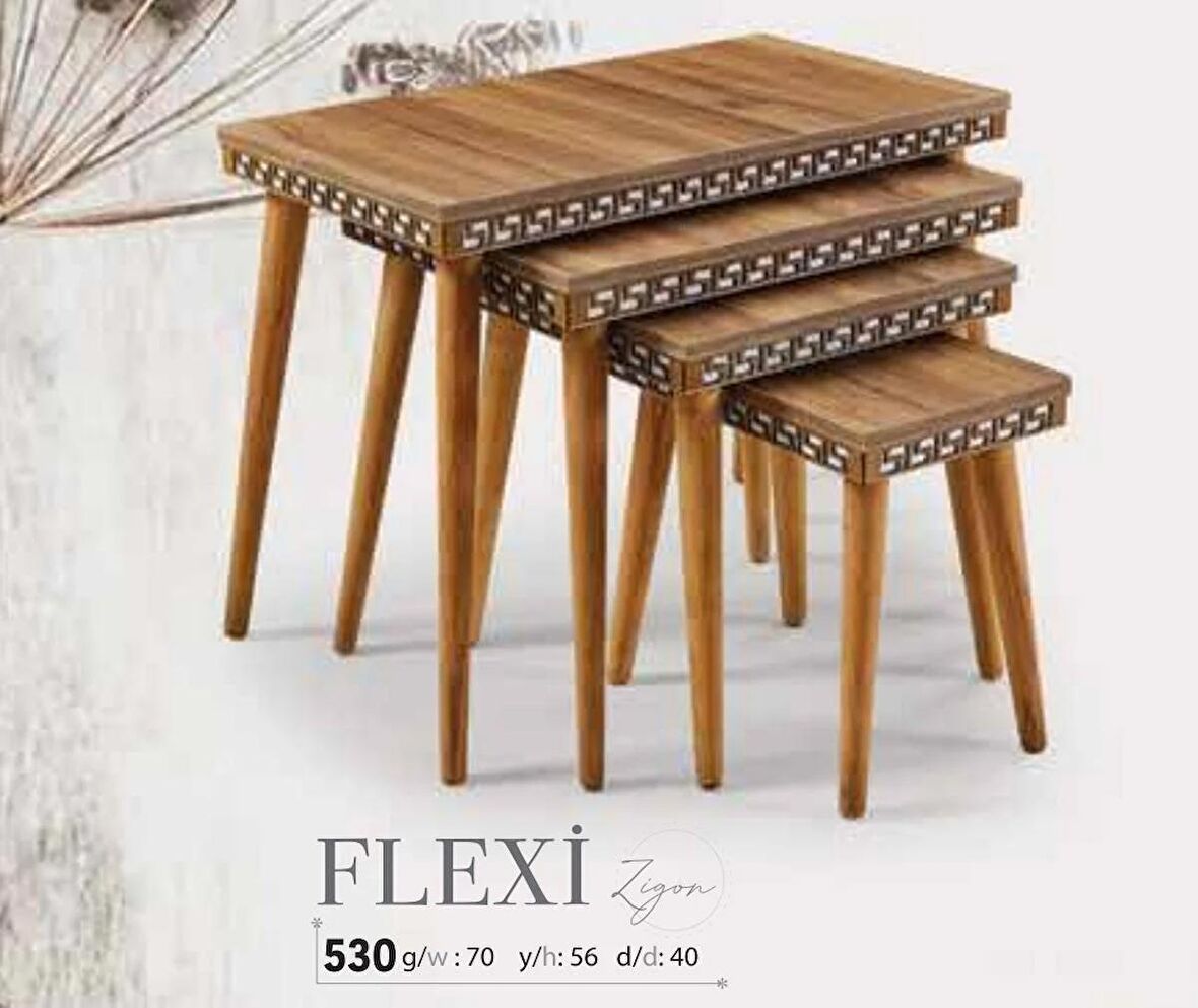 FLEXİ ZİGON SEHBA