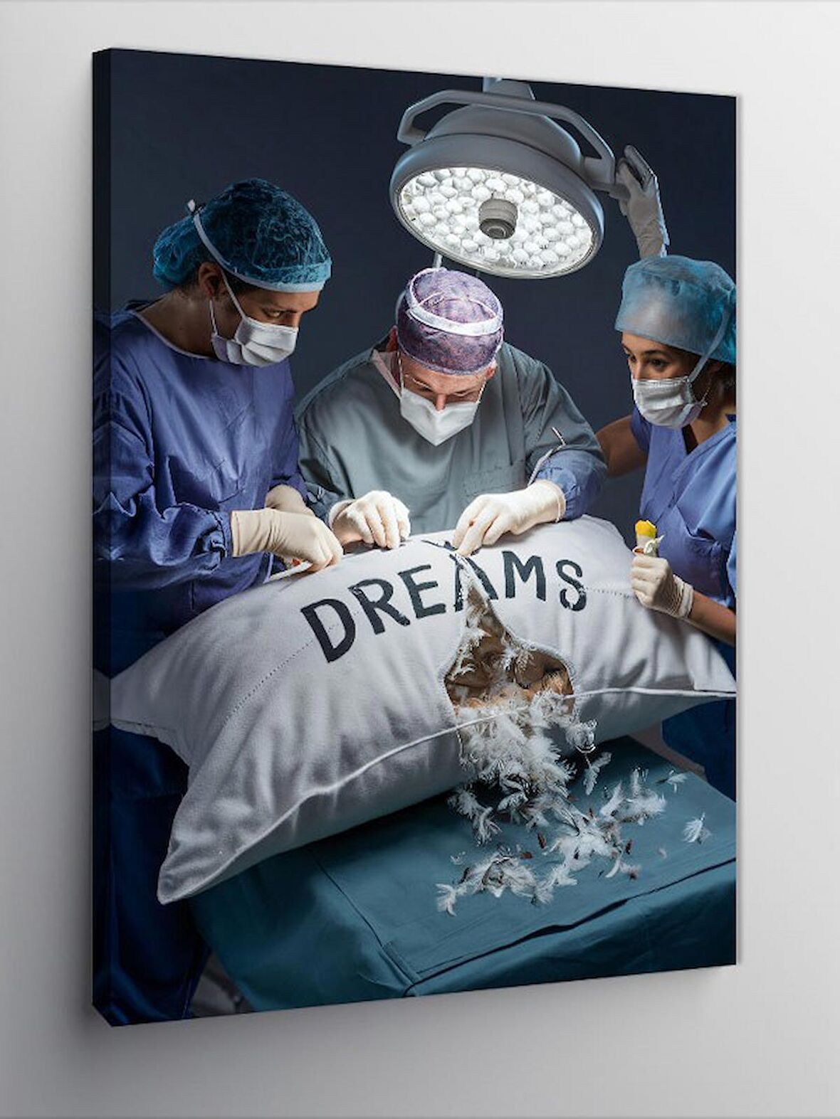 Kanvas Tablo Hayal Yastığı Ve Kuş Tüyü