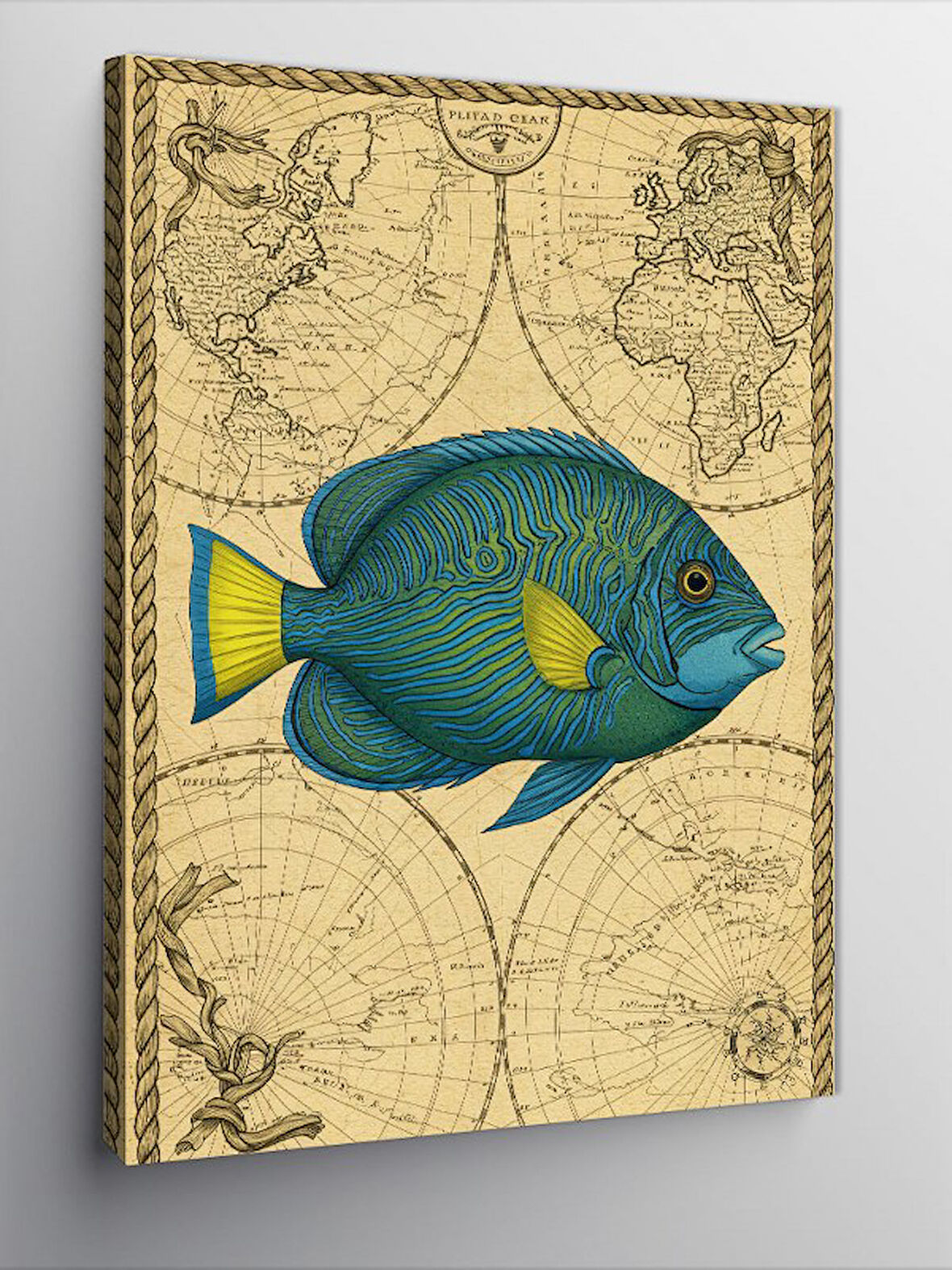 Kanvas Tablo Tropik Denizden Balık