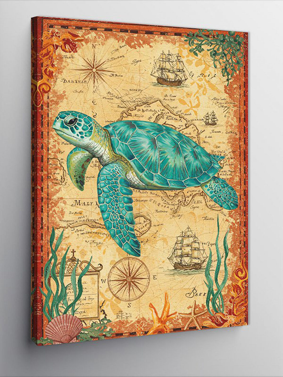Kanvas Tablo Tarihi Deniz Kaplumbağası