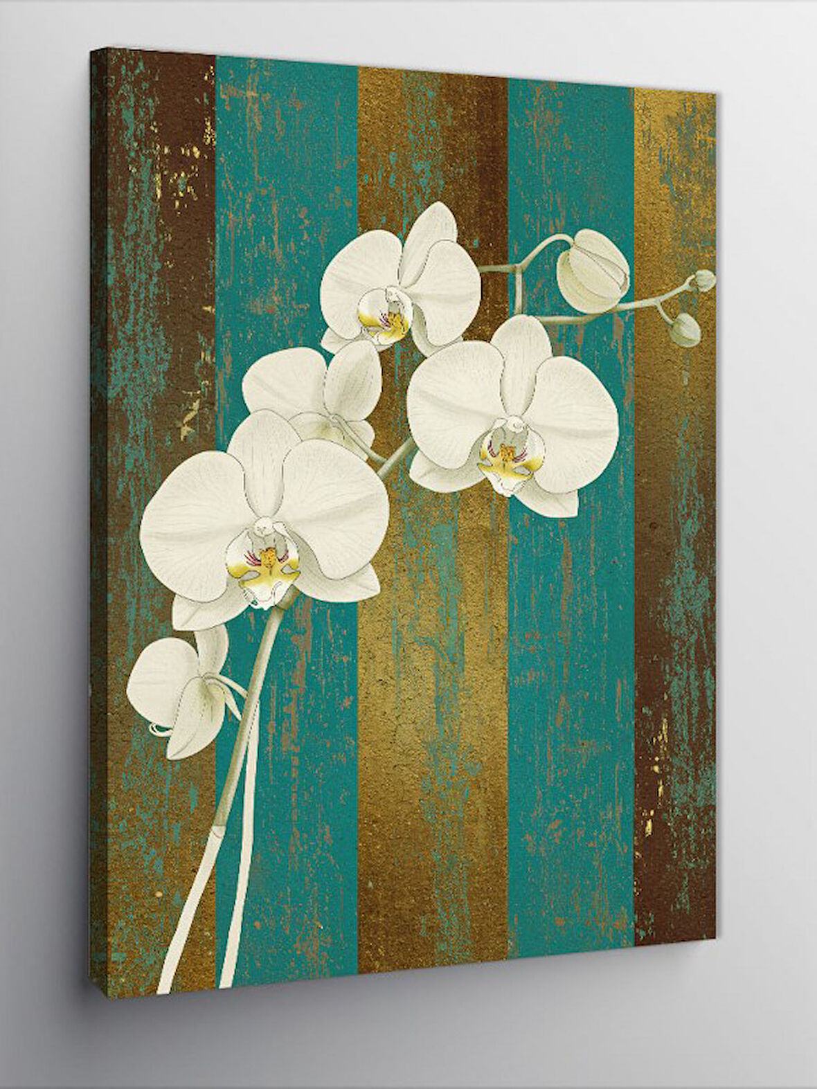 Kanvas Tablo Beyaz Orkide Çiçeği