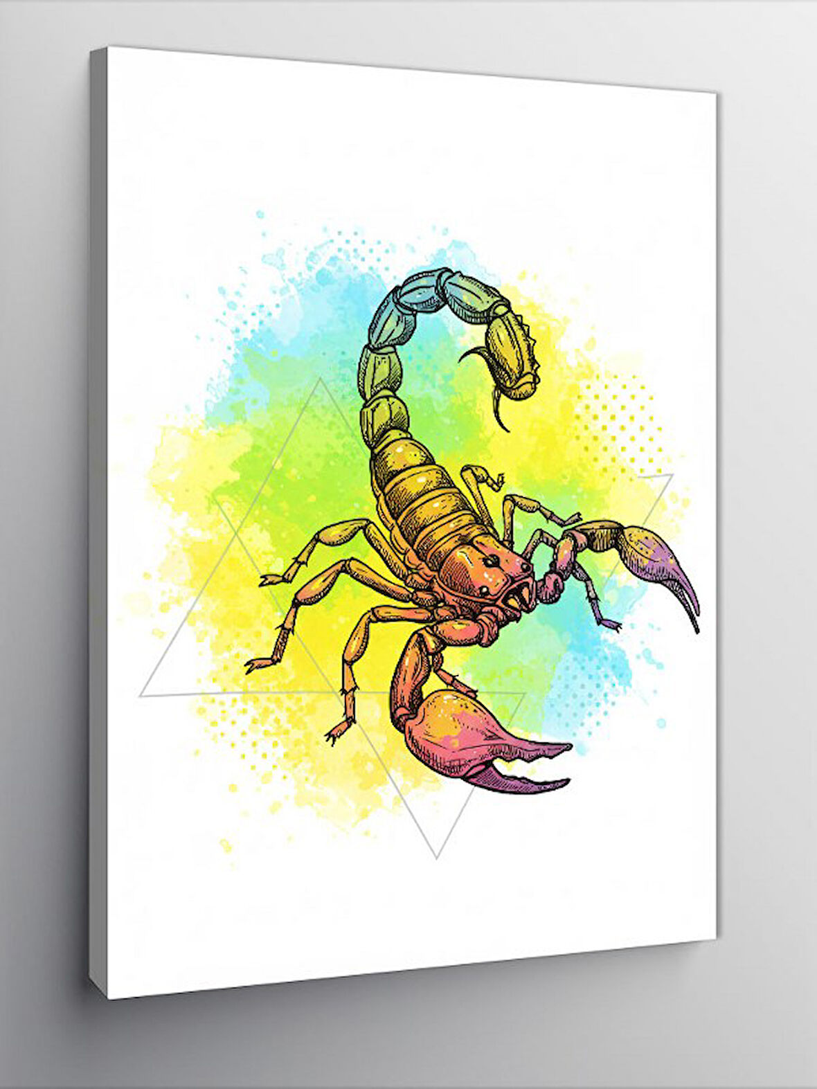 Kanvas Tablo Renkli Akrep Motifi