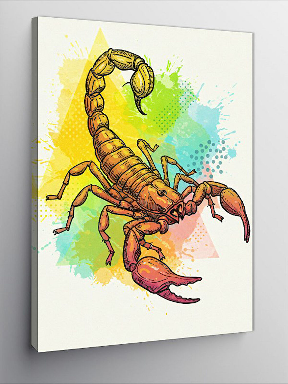 Kanvas Tablo Soyut Akrep ve Renk Patlaması