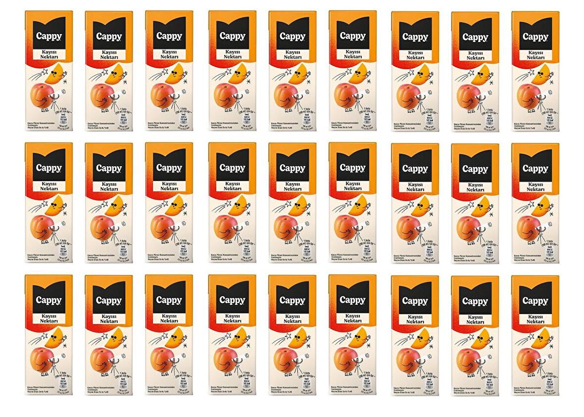 Cappy Bahçe Kayısı Nektarı 200 Ml X 27 Adet