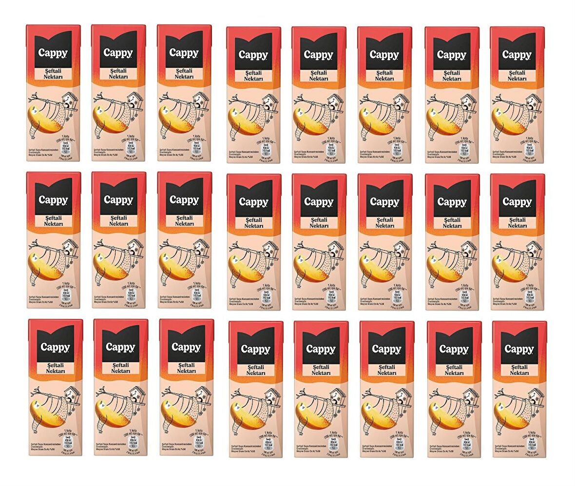 Cappy Bahçe Şeftali Nektarı 200 Ml X 24 Adet