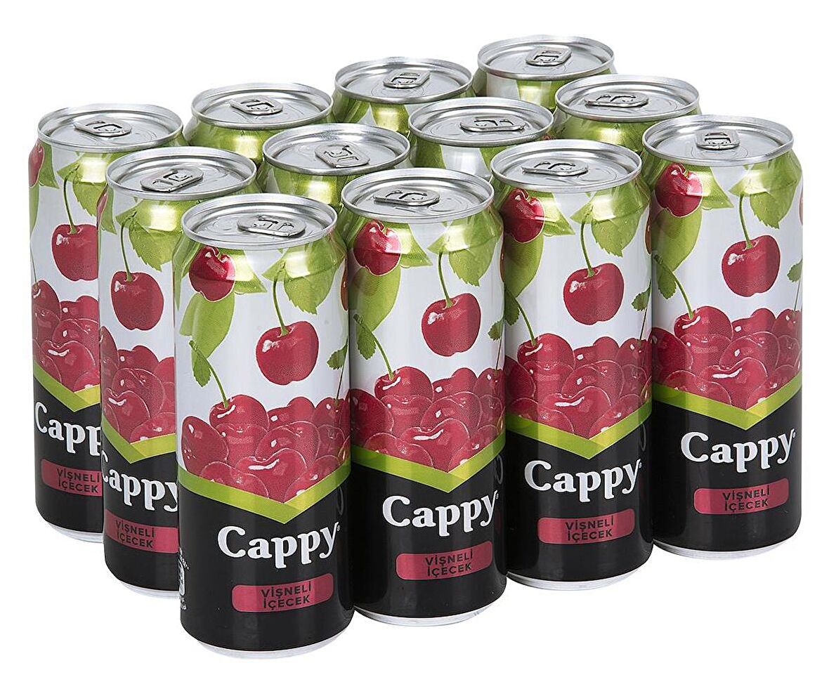 Cappy Bahçe Vişneli İçecek 330 Ml X 12 Adet