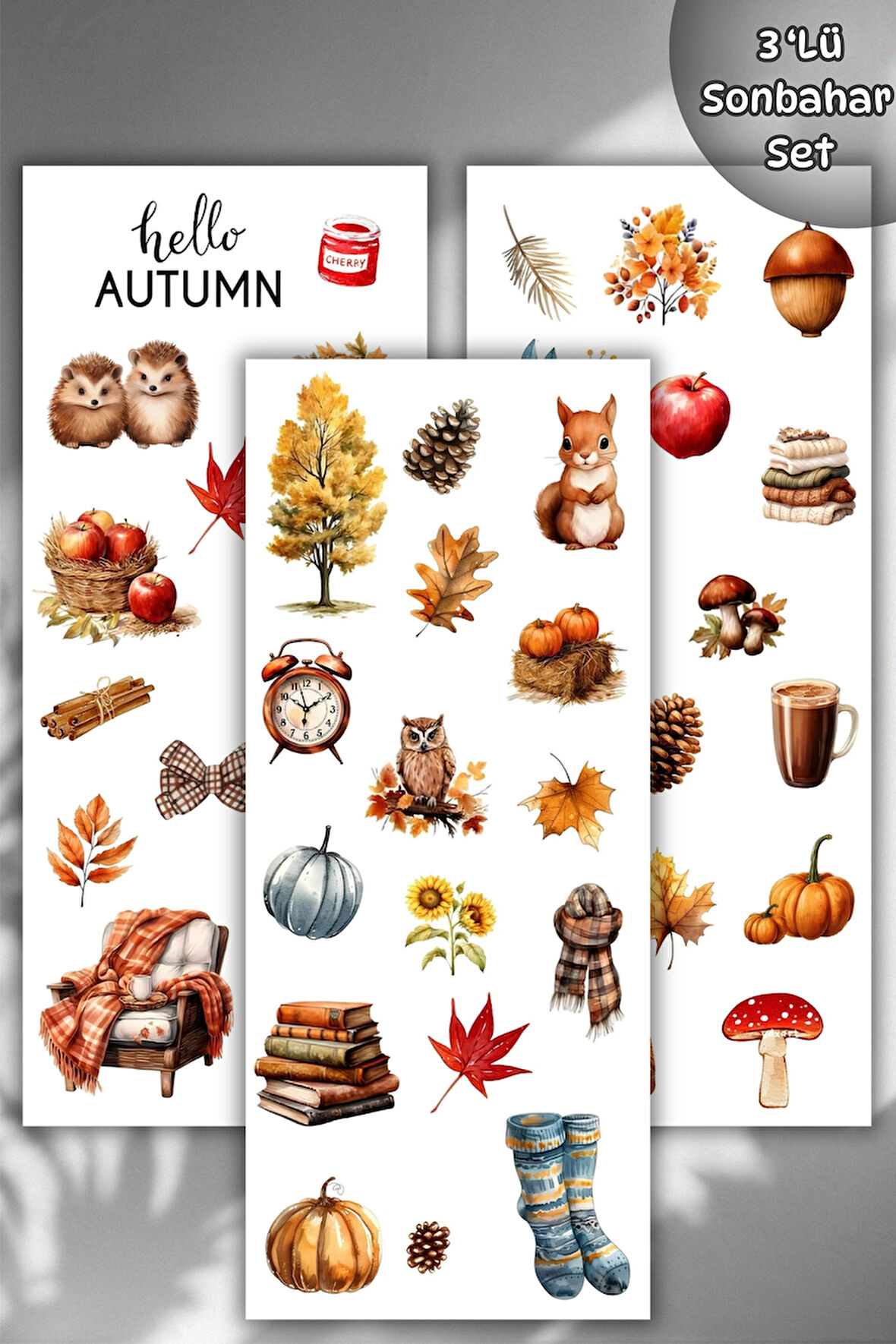 3 'Lü Sonbahar Temalı Sticker Seti Ajanda, Defter, Planlayıcı,Bullet Journal/Scrapbook Için Sticker