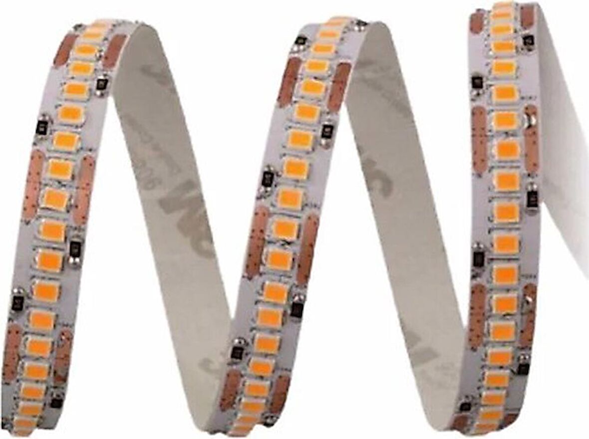 Cata 5 Metre 240 Çipli Gol Şerit Led Yüksek Lümen Gün Işığı