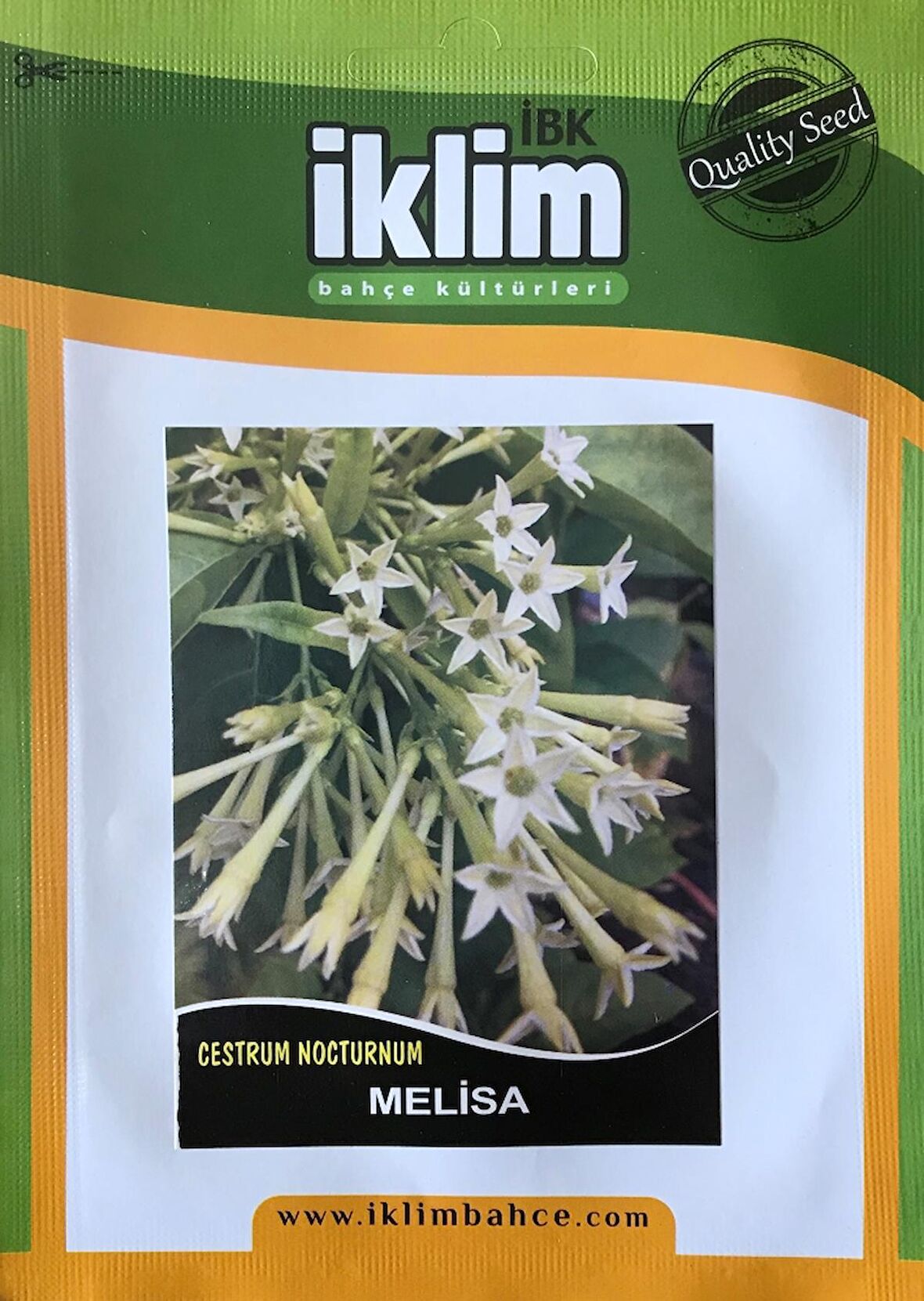 Melisa Çiçek Tohumu - Cestrum Nocturnum (~ Takribi 40 Tohum)