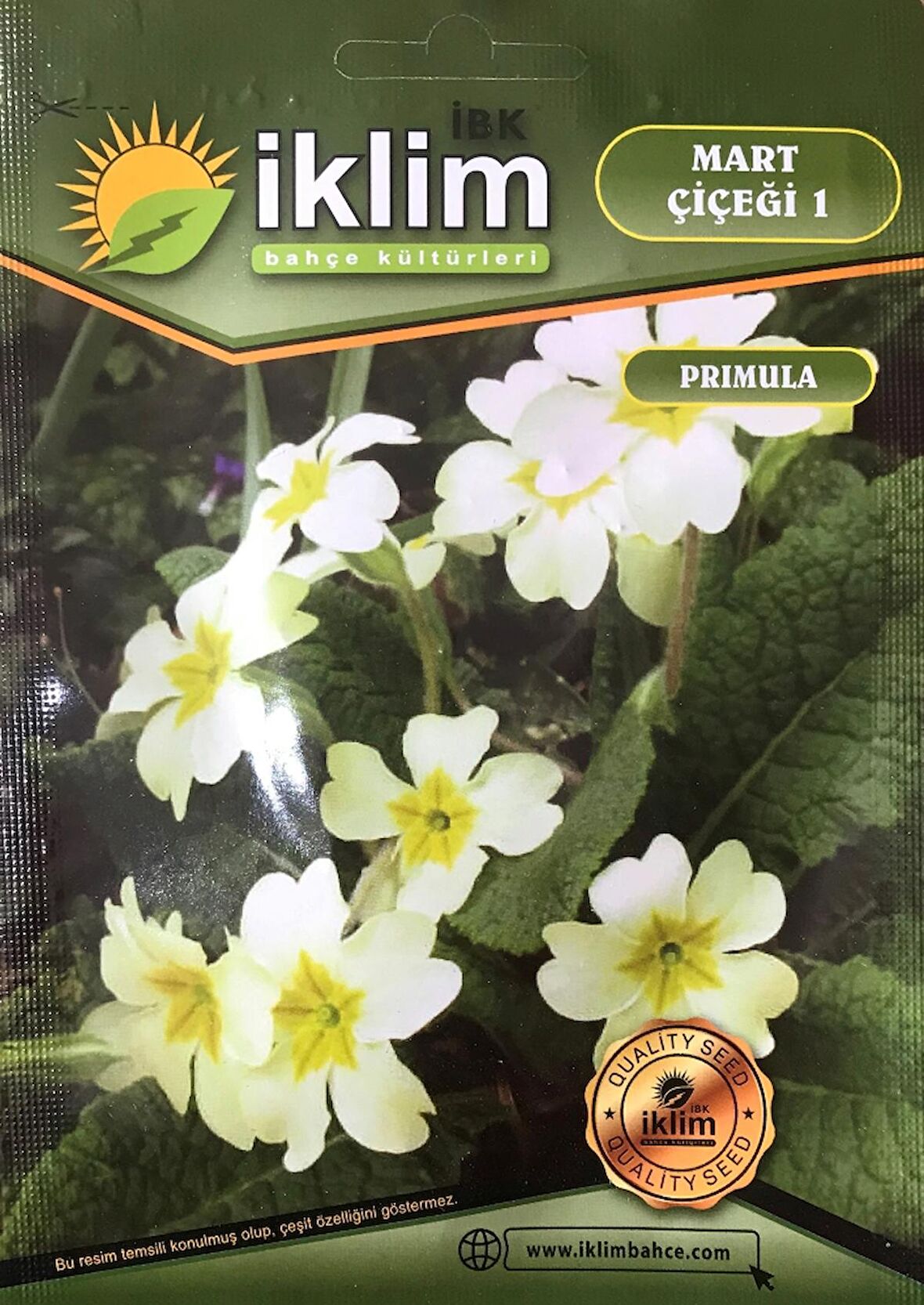 Mart Çiçeği Çiçek Tohumu 1 - Primula Acaulis (~ Takribi 30 Tohum)