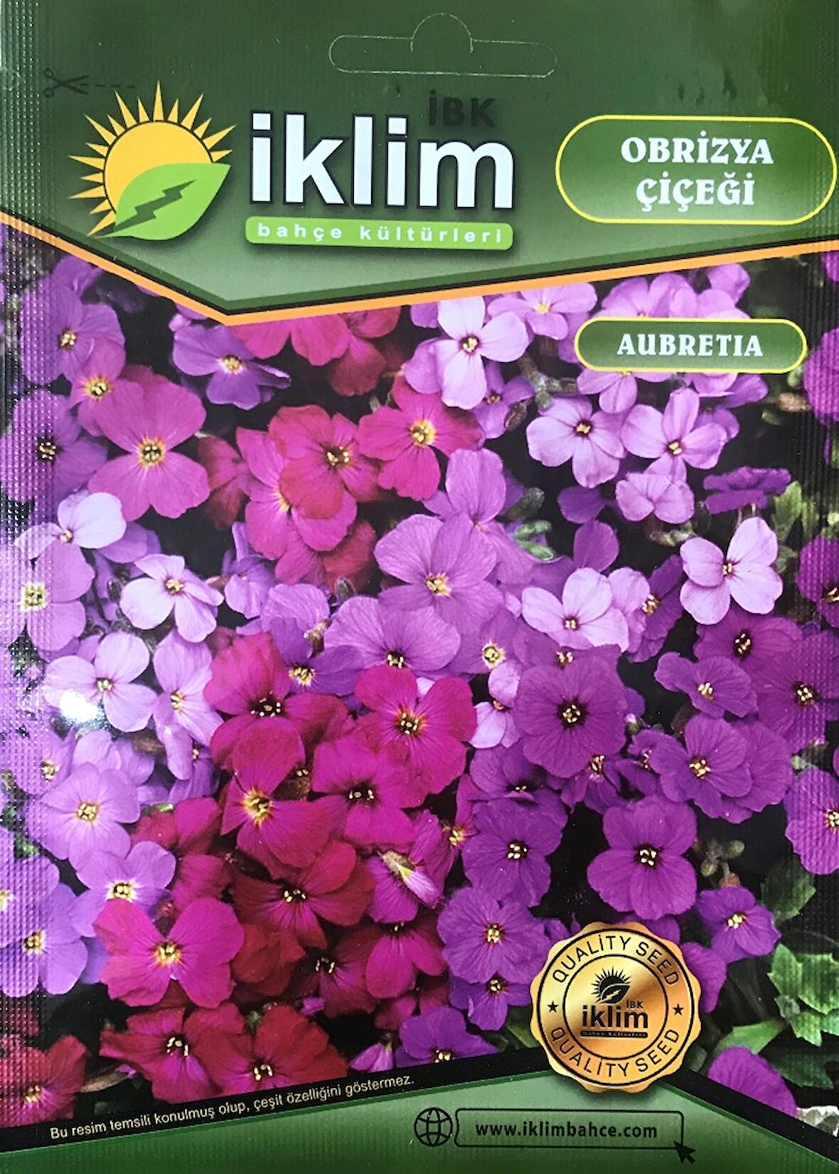 Obrizya Çiçek Tohumu - Aubretia Deltoidea (~ Takribi 40 Tohum)