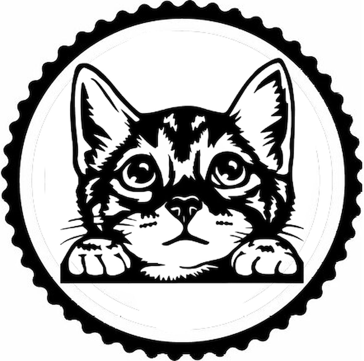 Camdan Bakan Kedi Tasarım Sticker 30 x 30 cm