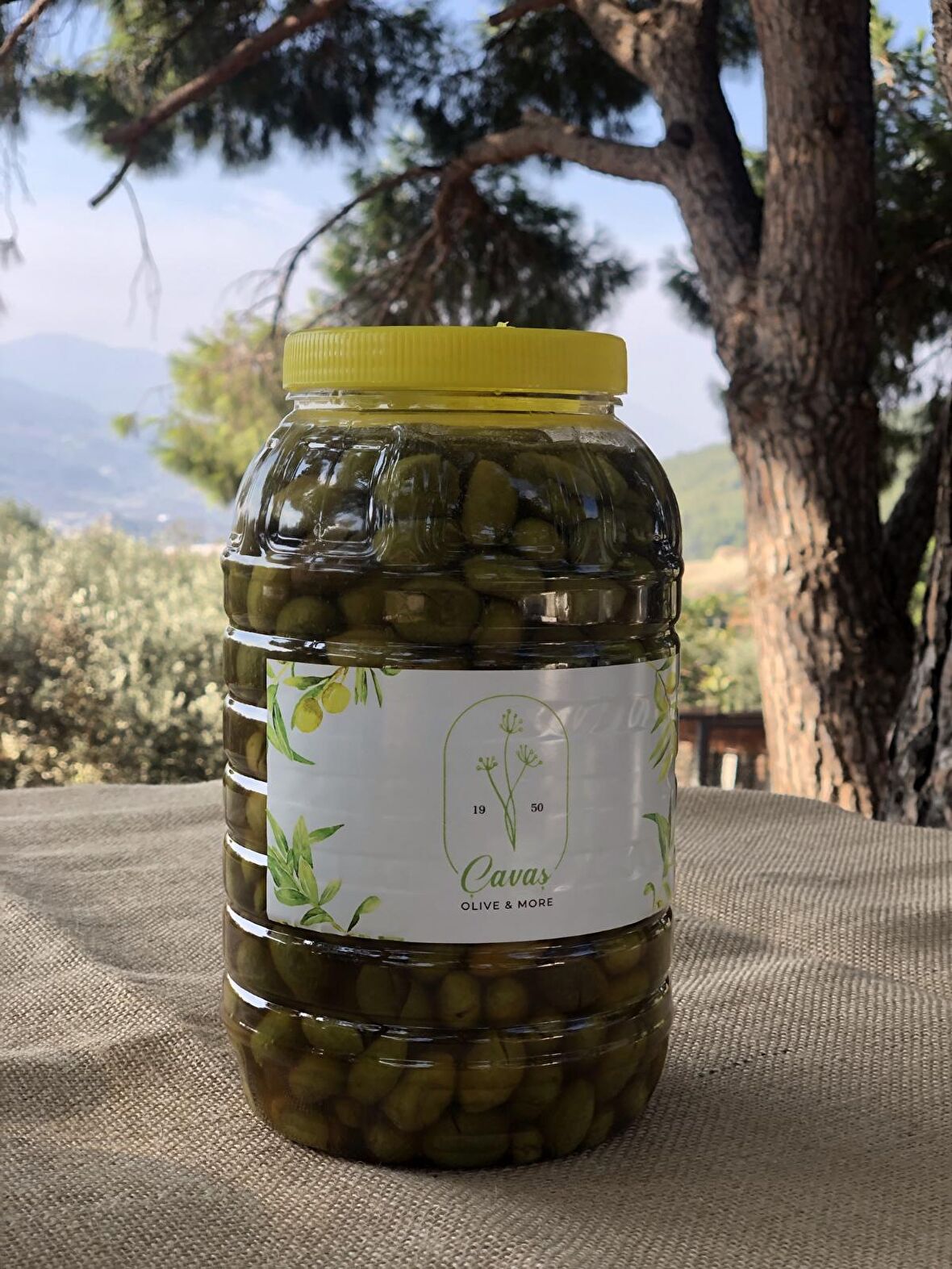 Çavaş Kırma Yeşil Zeytin 2 kg 