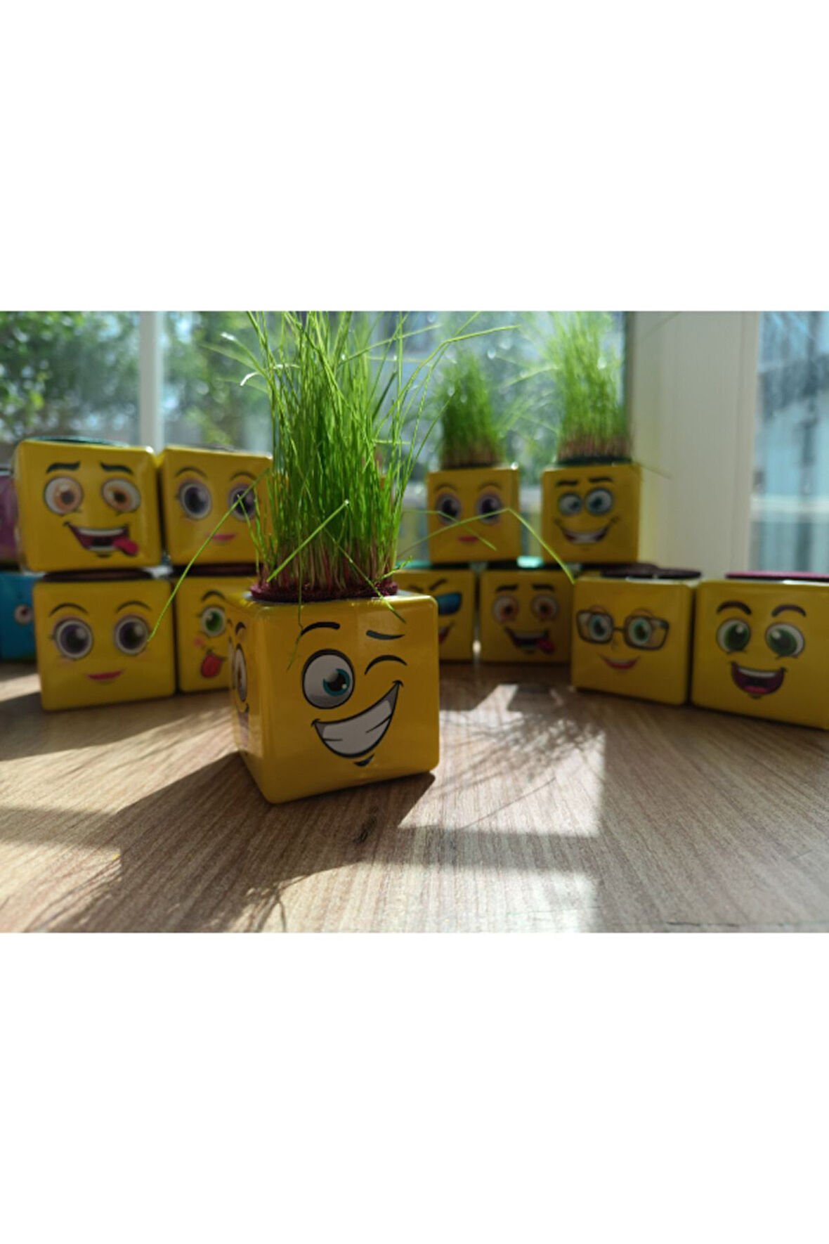 Çocuk Gelişim Oyuncaklar SARI KÜP ÇİMADAM 24Adet DOĞUM GÜNÜ ANA SINIFI ETKİNLİK Kız Erkek Çocuk Oyun