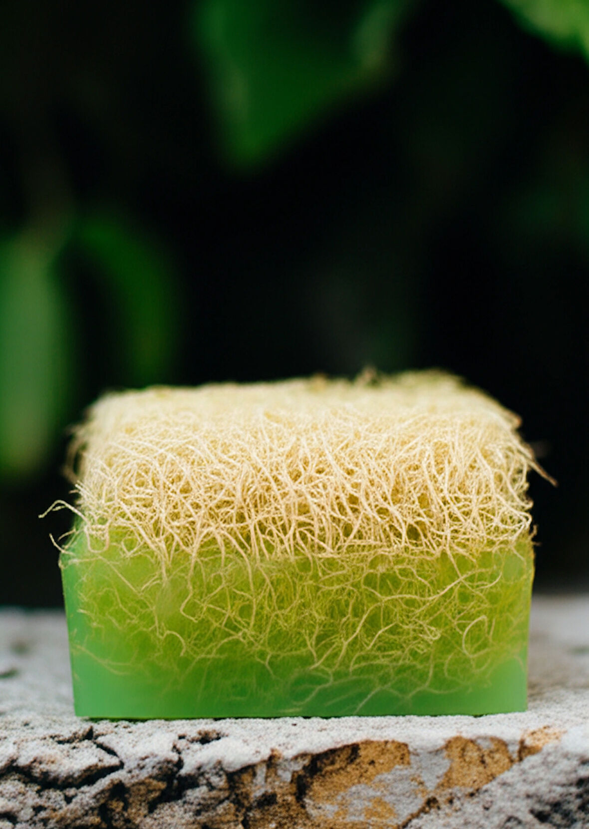 KAIA CAY AGACI OZLU KABAK LIFLI SABUN 160 GRAM 2Lİ