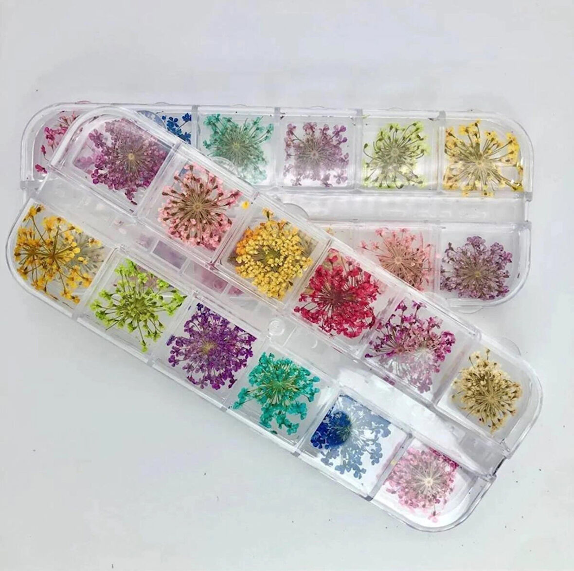 Anil Nail Art Gerçek Kuru Süsleme Çiçekleri (12Li) Protez Tırnak