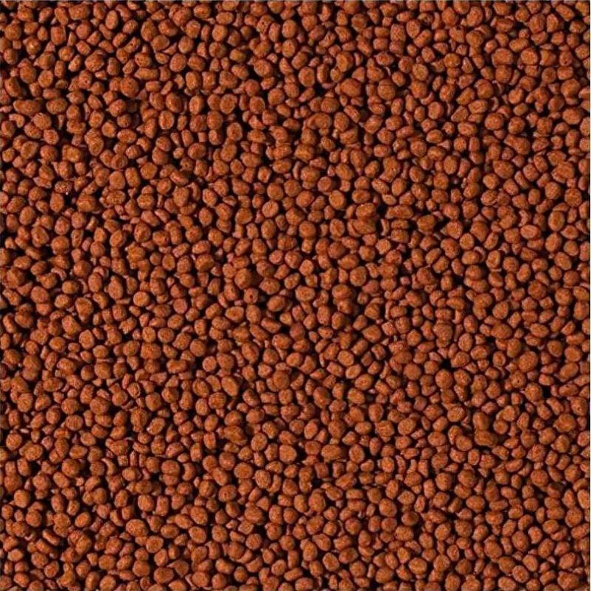 Tropical Cichlid Carnivore Small Pellet 100 Gram Küçük Granül Balık Yemi