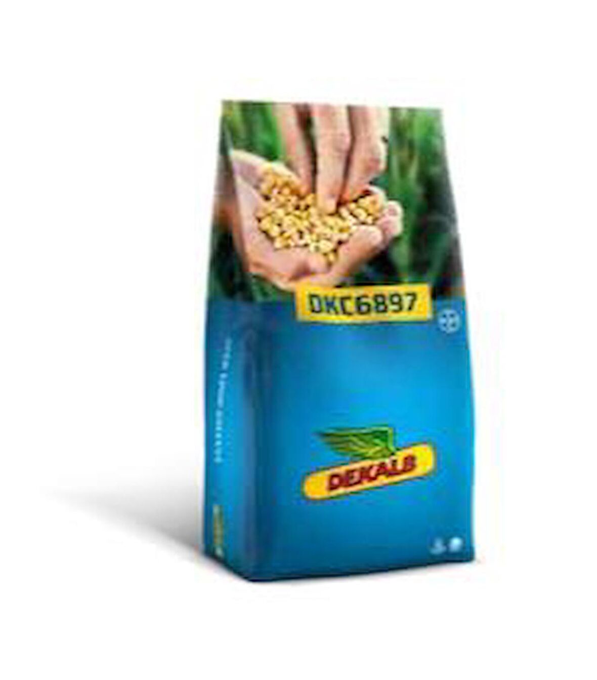 Dekalb 6897 Danelik Mısır Tohumu