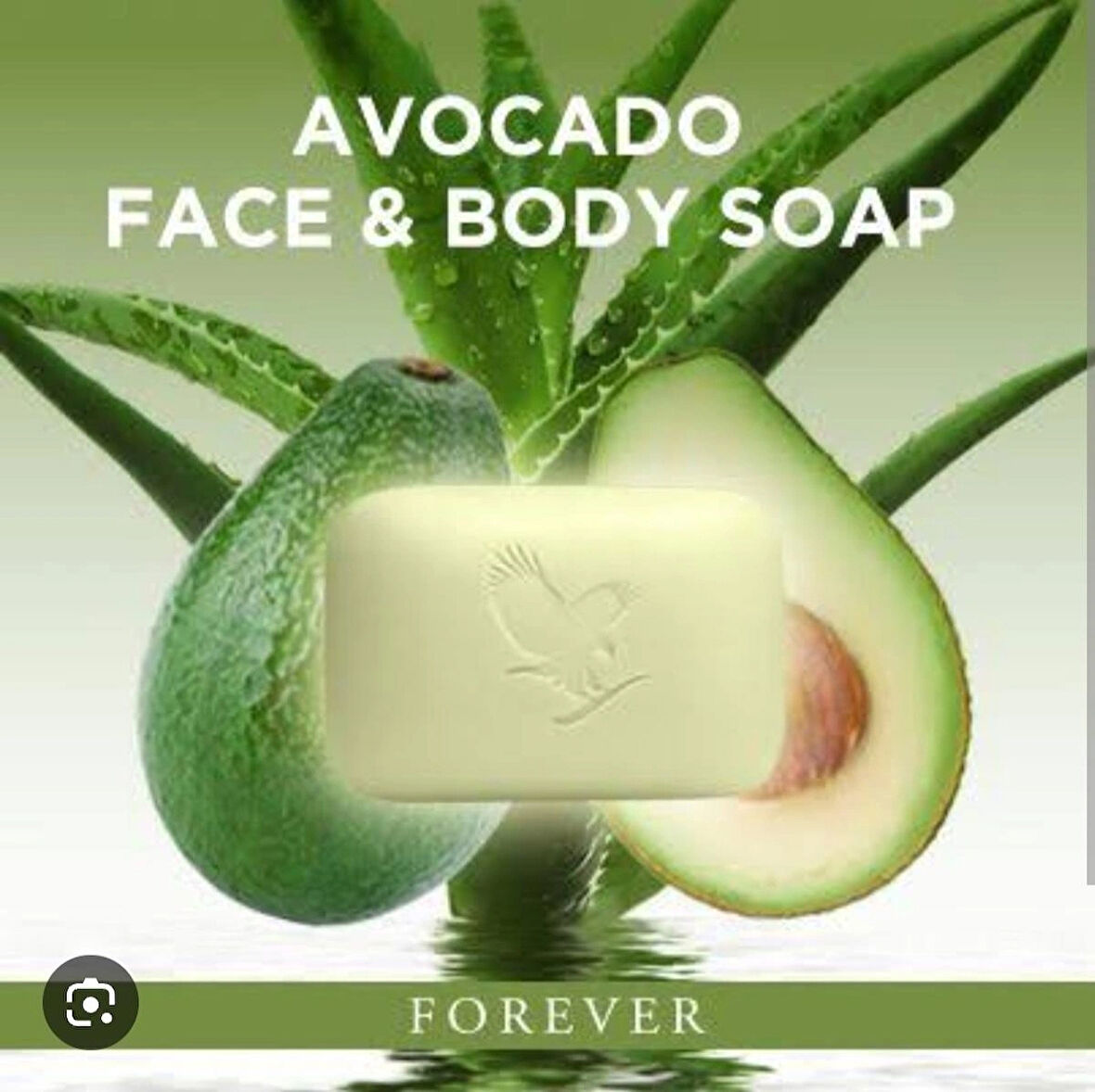 Avocado Body Soap