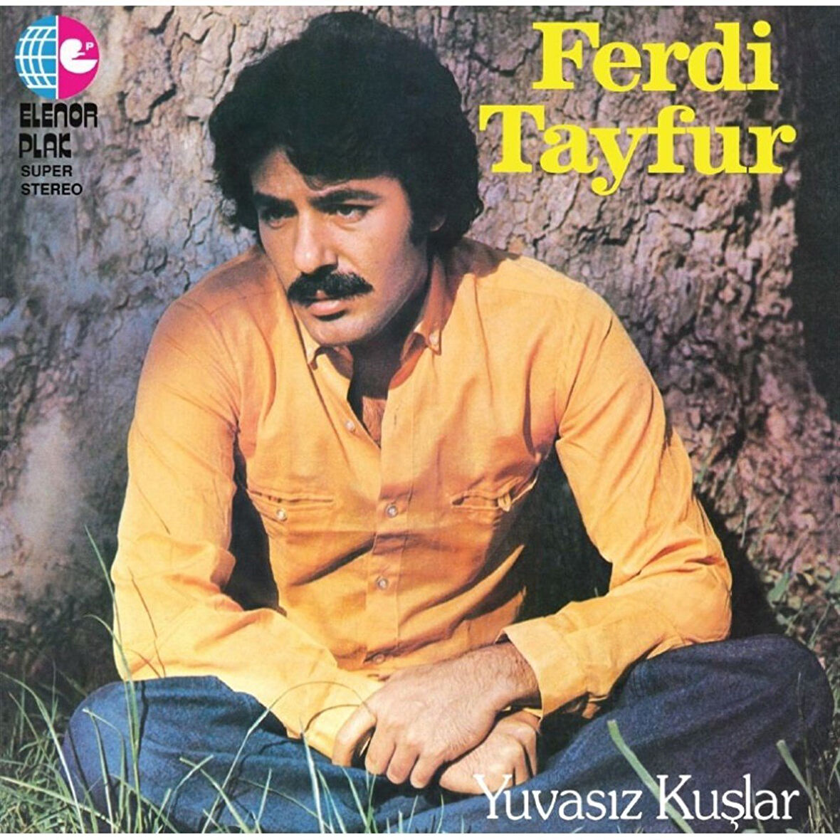 Ferdi Tayfur Yuvasız Kuşlar - Plak