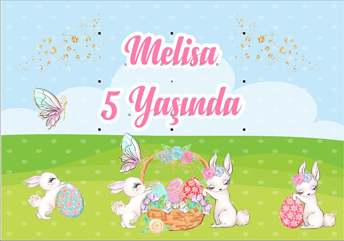 Tavşan Temalı Doğum Günü Afişi - 50x70 Cm