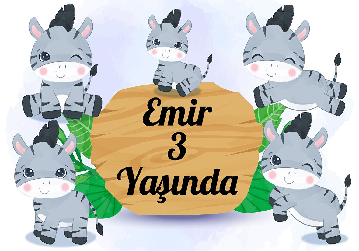 Zebra Temalı Doğum Günü Afişi - 50x70 Cm