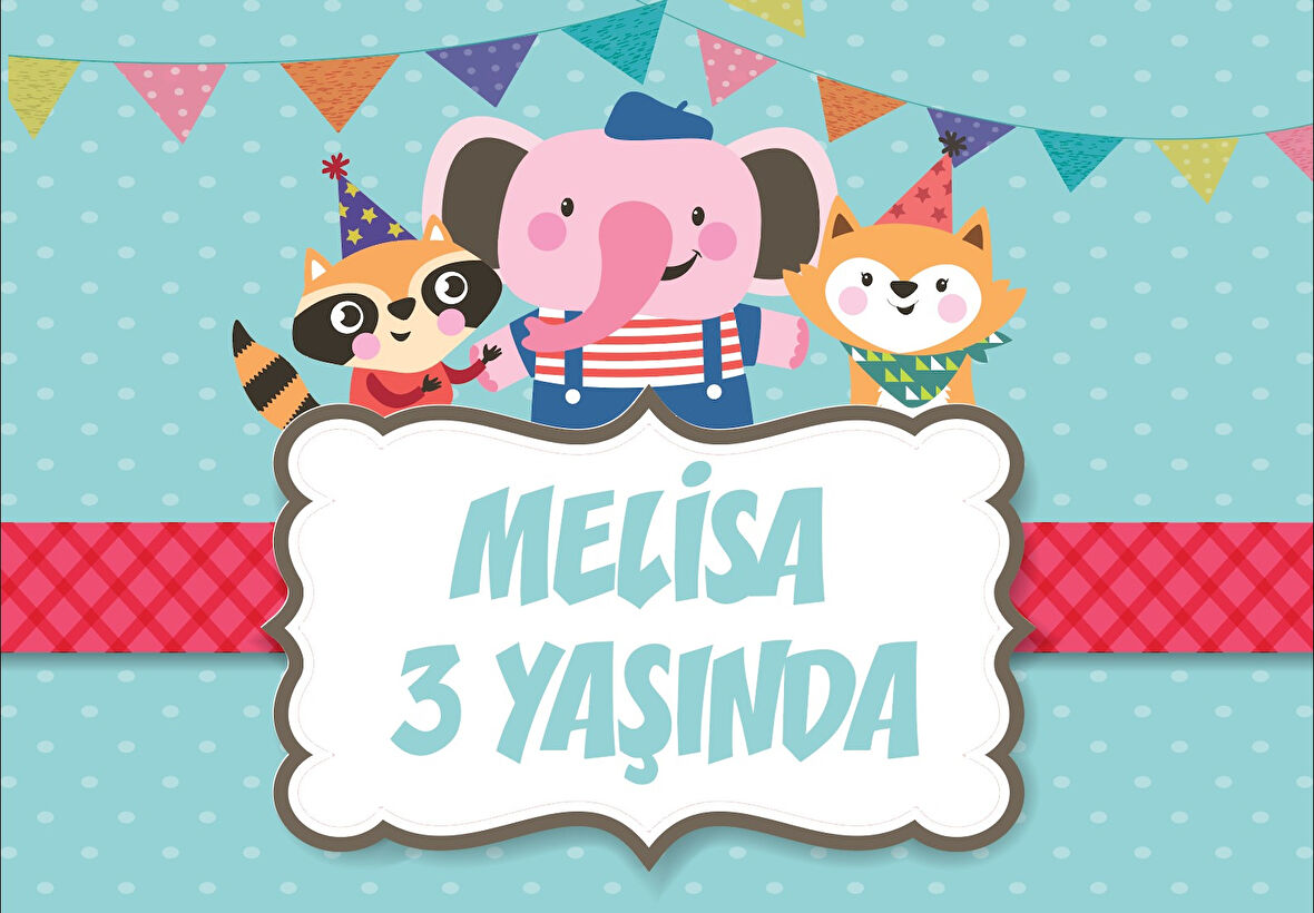 Sevimli Hayvanlar Temalı Doğum Günü Afişi - 50x70 Cm