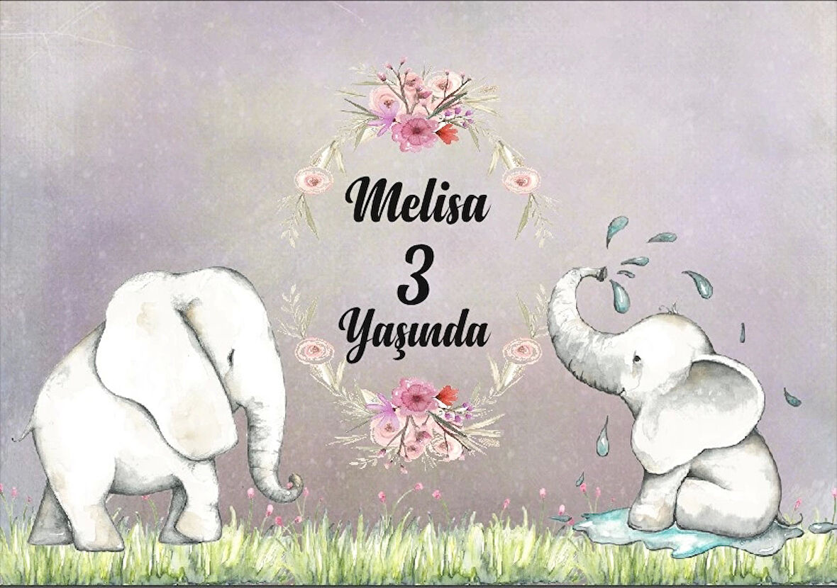 Koala Temalı Doğum Günü Afişi 35X50 cm