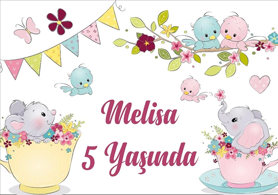 Sirk Temalı Doğum Günü Afişi 50X70 cm