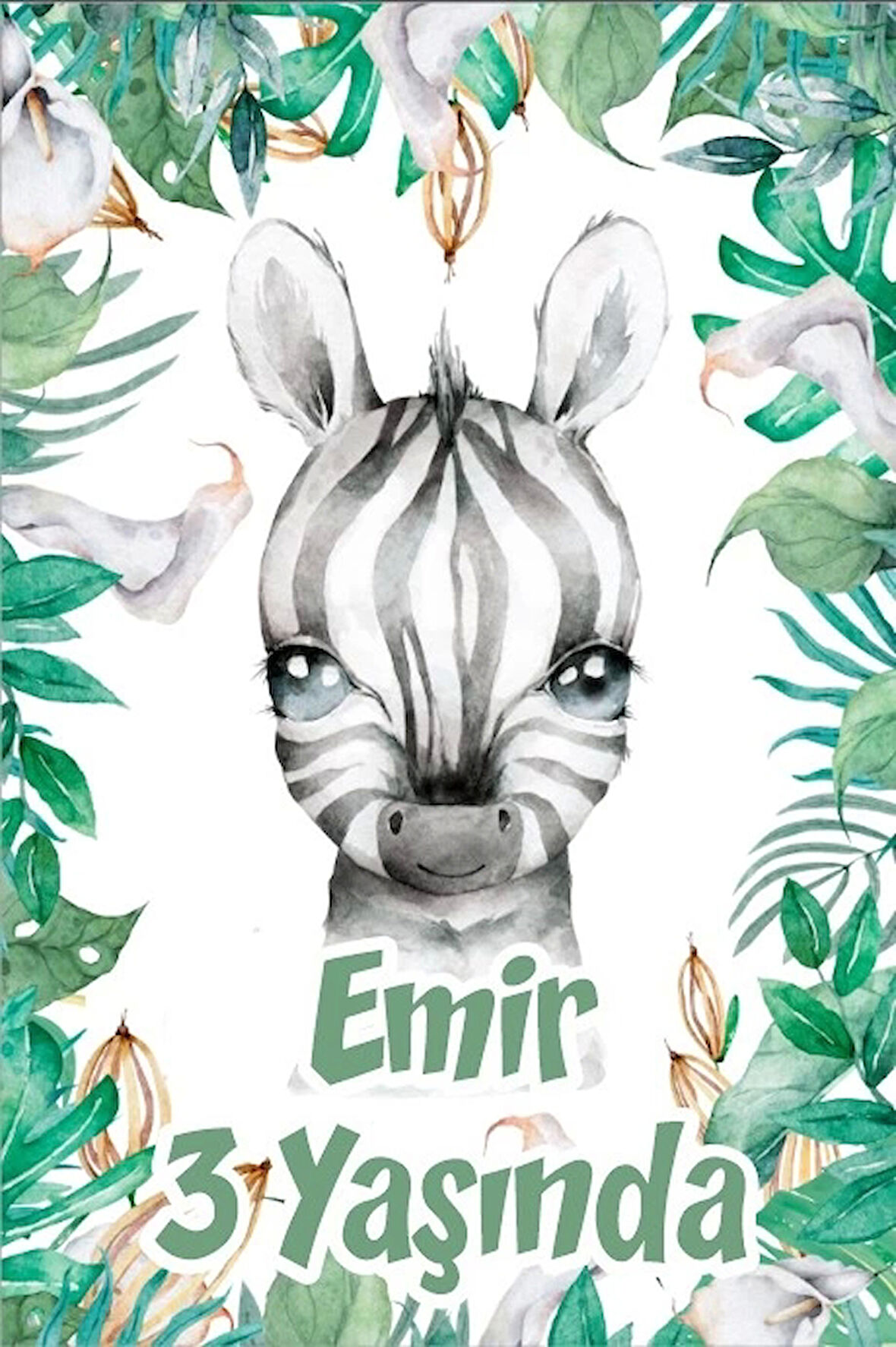 Zebra Temalı Doğum Günü Afişi -3 35X50 cm