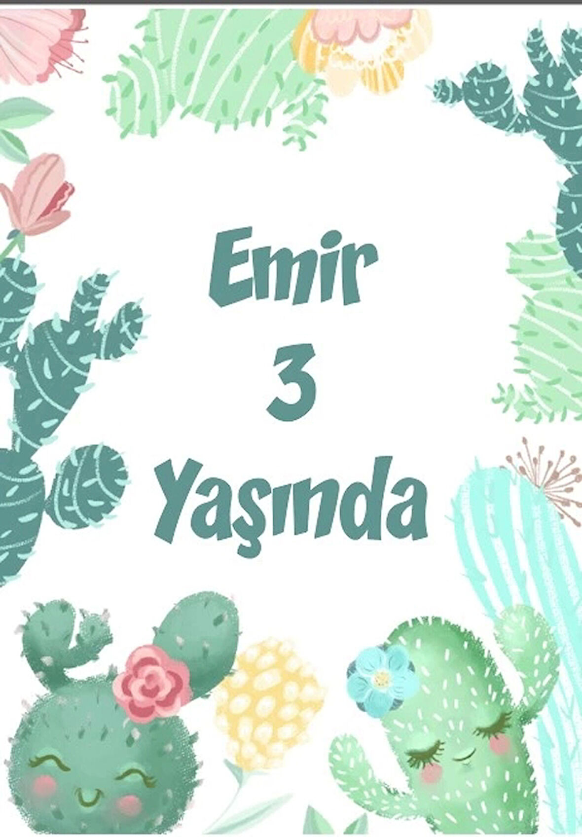 Mutlu Kaktüsler Temalı Doğum Günü Afişi 70X100 cm