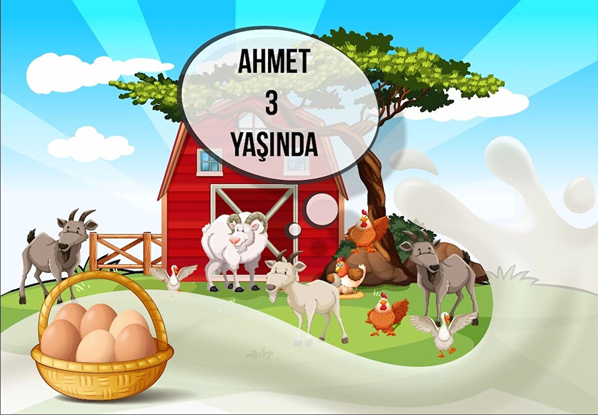 Çiftlik ve Yumurta Temalı Doğum Günü Afişi 35X50 cm