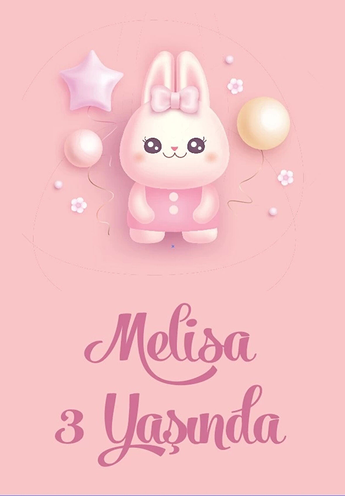 Tavşan Temalı Doğum Günü Afişi 70X100 cm