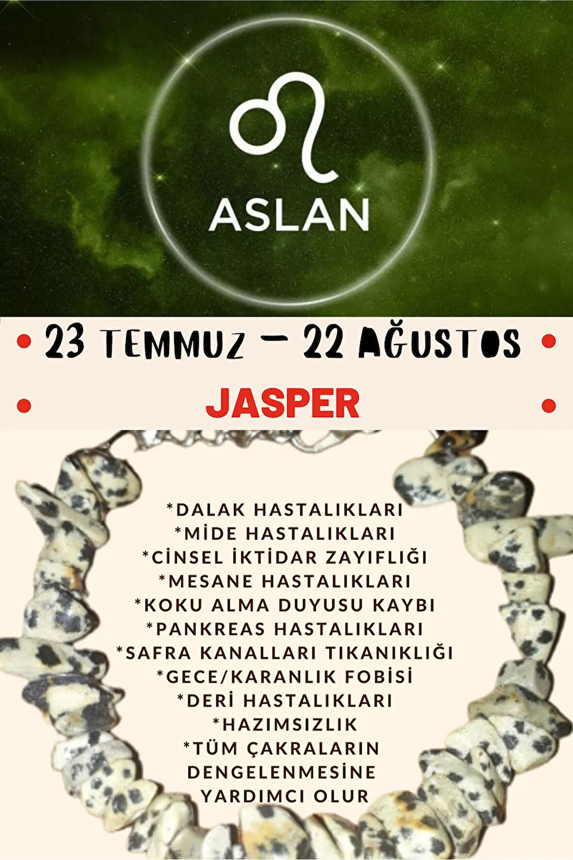 Burç Taşı Aslan Burcu Jasper Taşı Bileklik