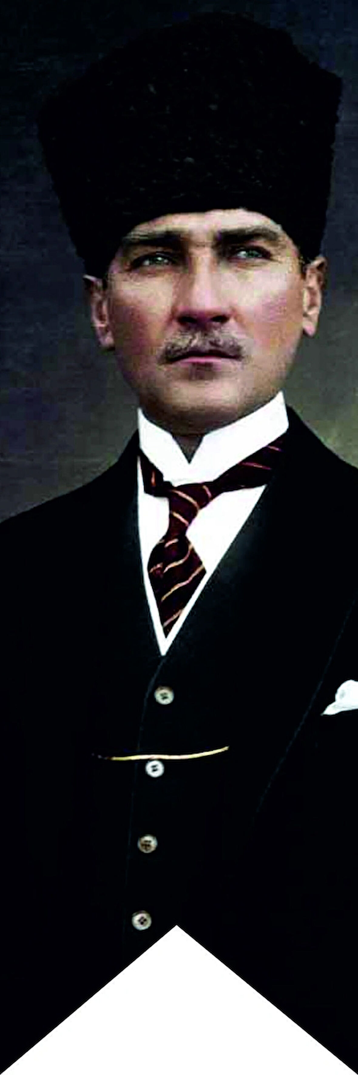 ATATÜRK BASKILI KIRLANGIÇ BAYRAK 50*150 