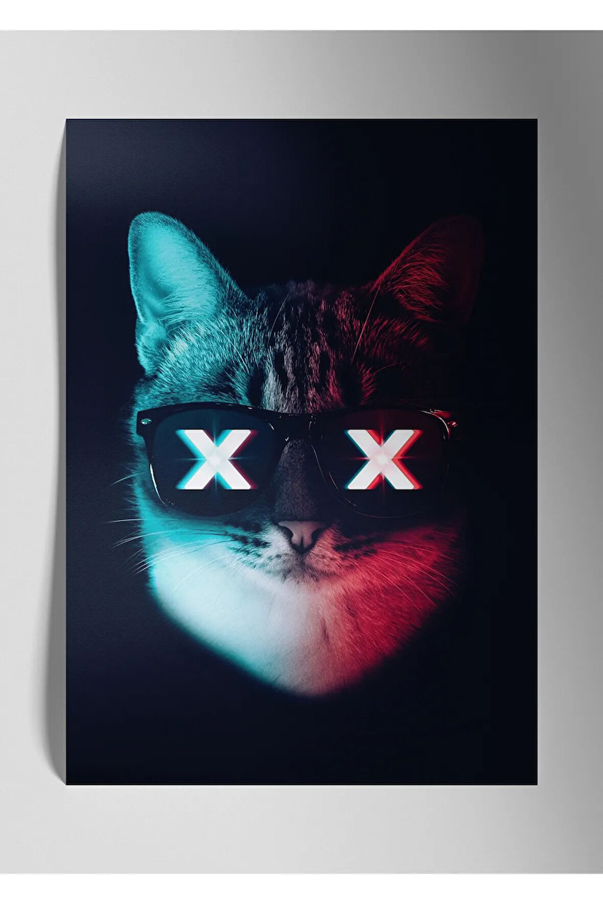 Metal Baskı Parlak Duvar Tablosu - Partycat