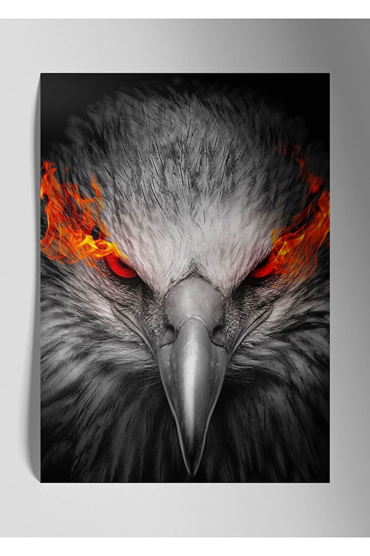 Kırmızı Göz Kartal - Metal Poster Tablo