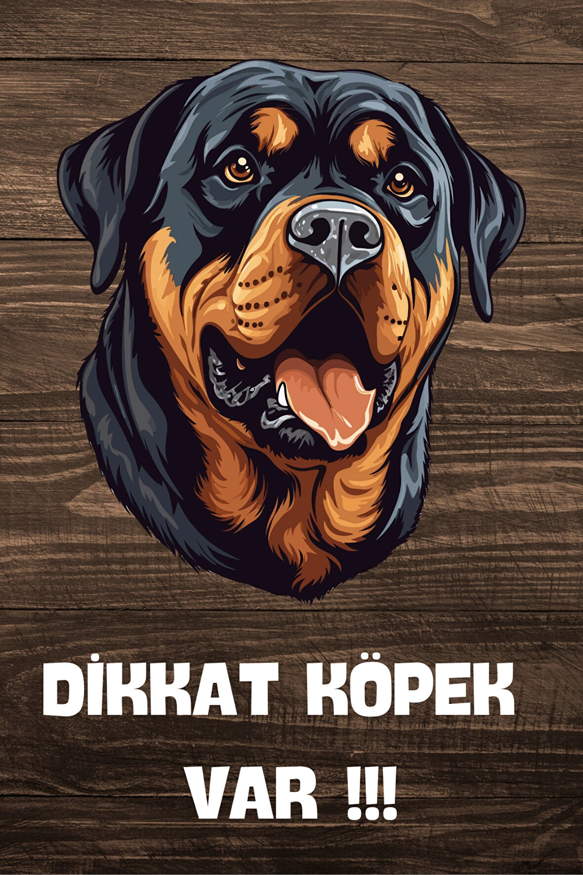 DİKKAT KÖPEK VAR TEMALI POSTER DKTK3