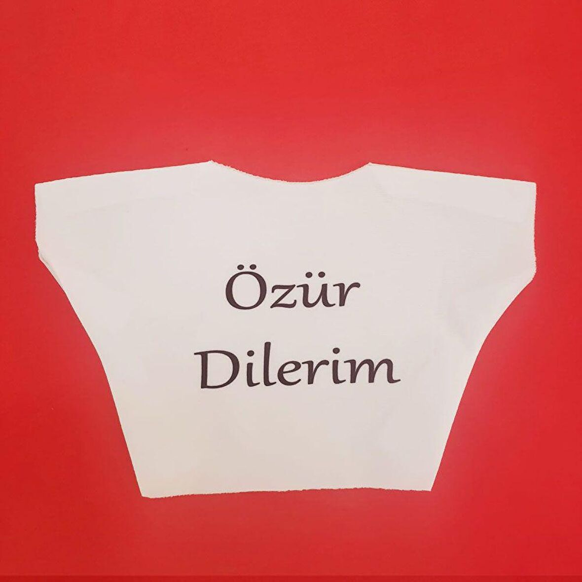 özür Dilerim Yazılı Peluş Oyuncak Tişörtü