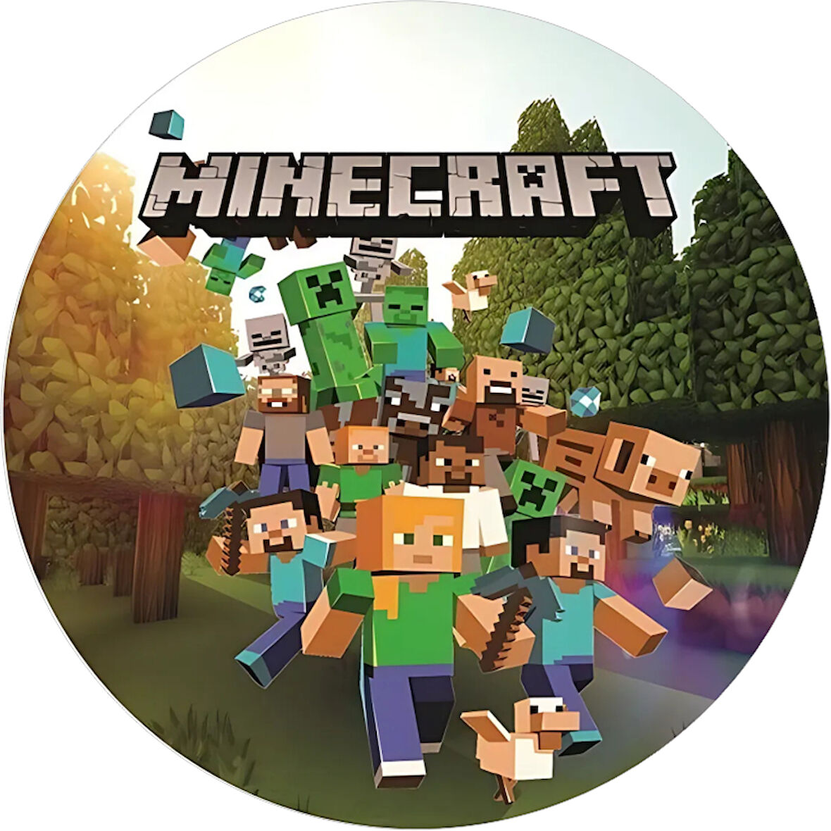 Yenilebilir Yuvarlak Pasta Resim Baskısı 20 cm Şekerli Kağıt Minecraft Temalı 05
