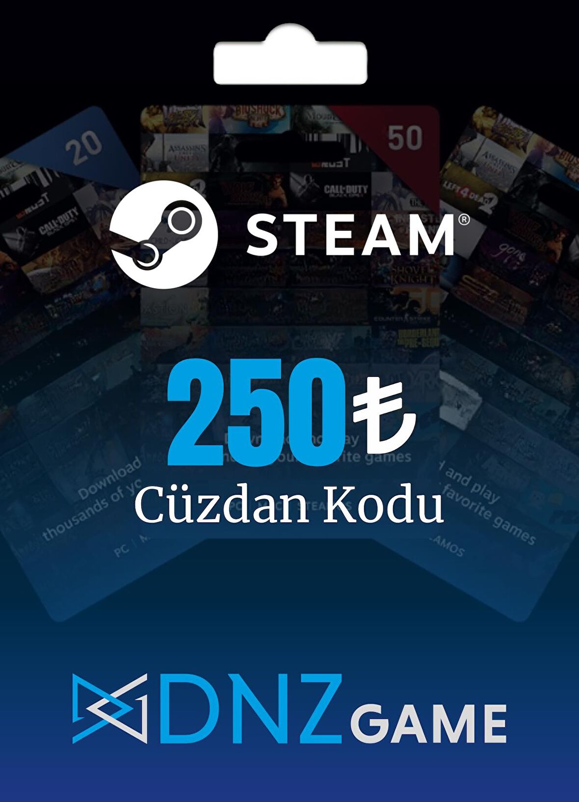 Steam Cüzdan Kodu 250 TL
