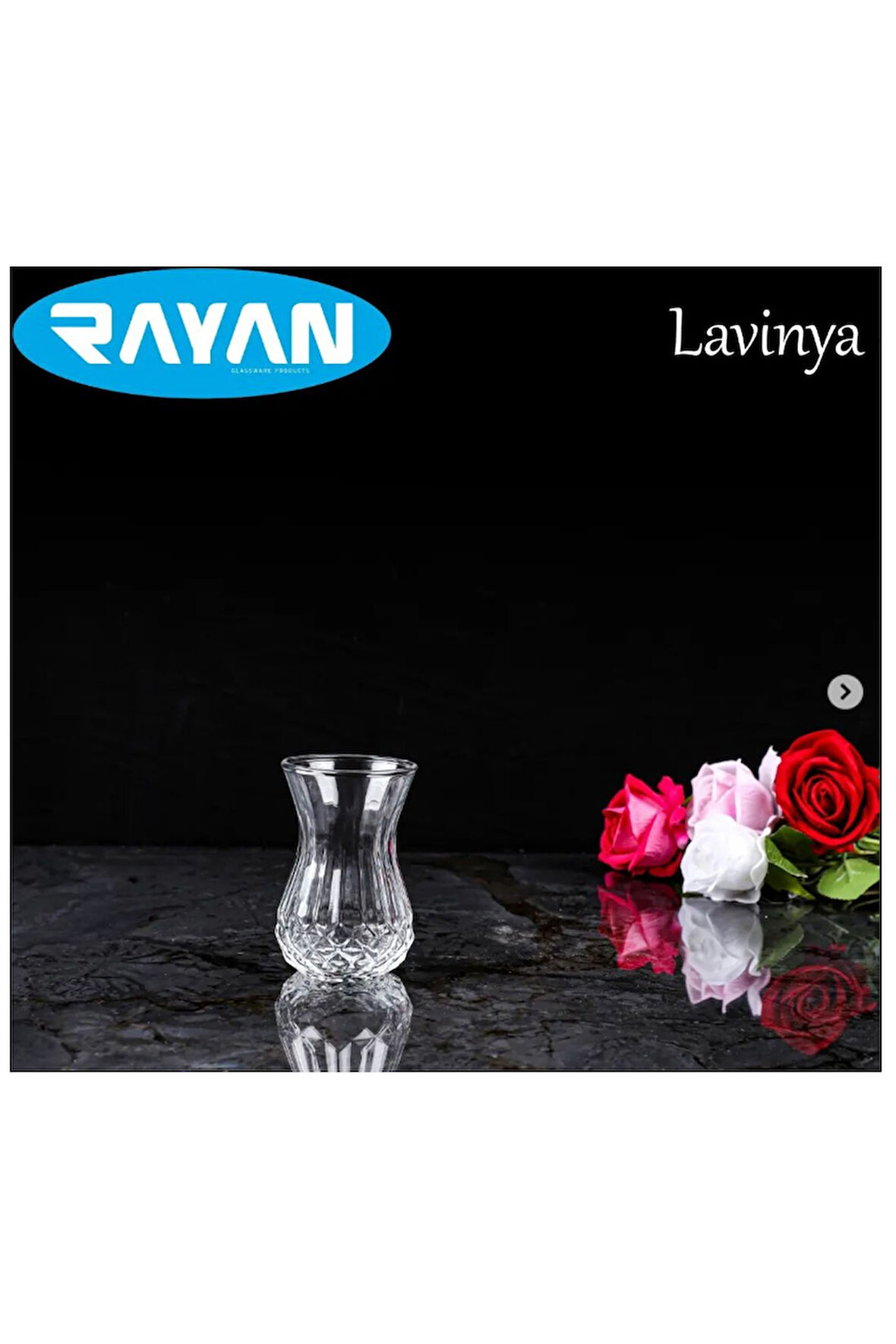 Rayan Lavinya Star 6 lı Çay Bardağı