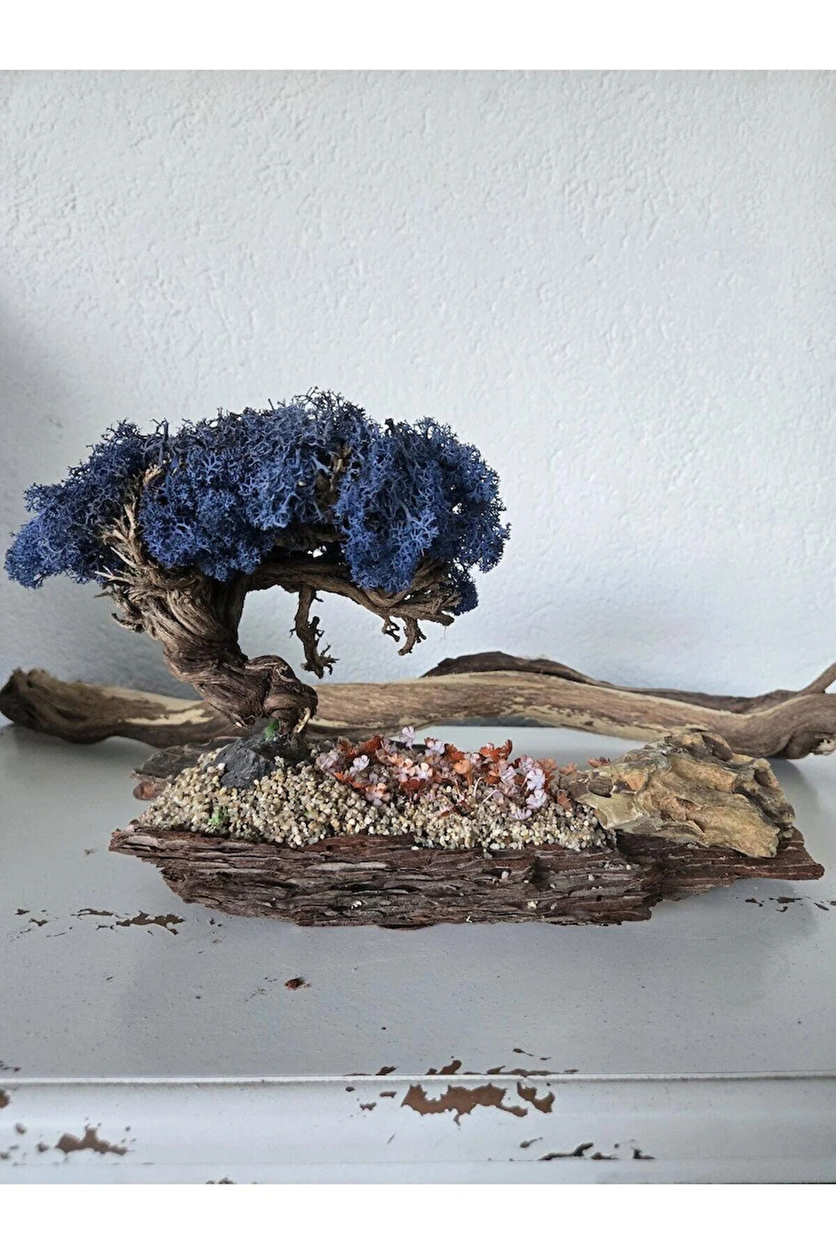 El Yapımı Bonsai Dekor | Gerçek Ağaç Gövdesi & Mavi Şoklanmış Yosunlu Masa Üstü Süs