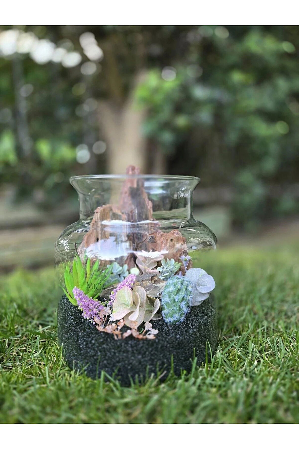 El Yapımı Cam Teraryum – Siyah Kum, Ağaç Dokusu, Kaktüs & Sukulent Dekor