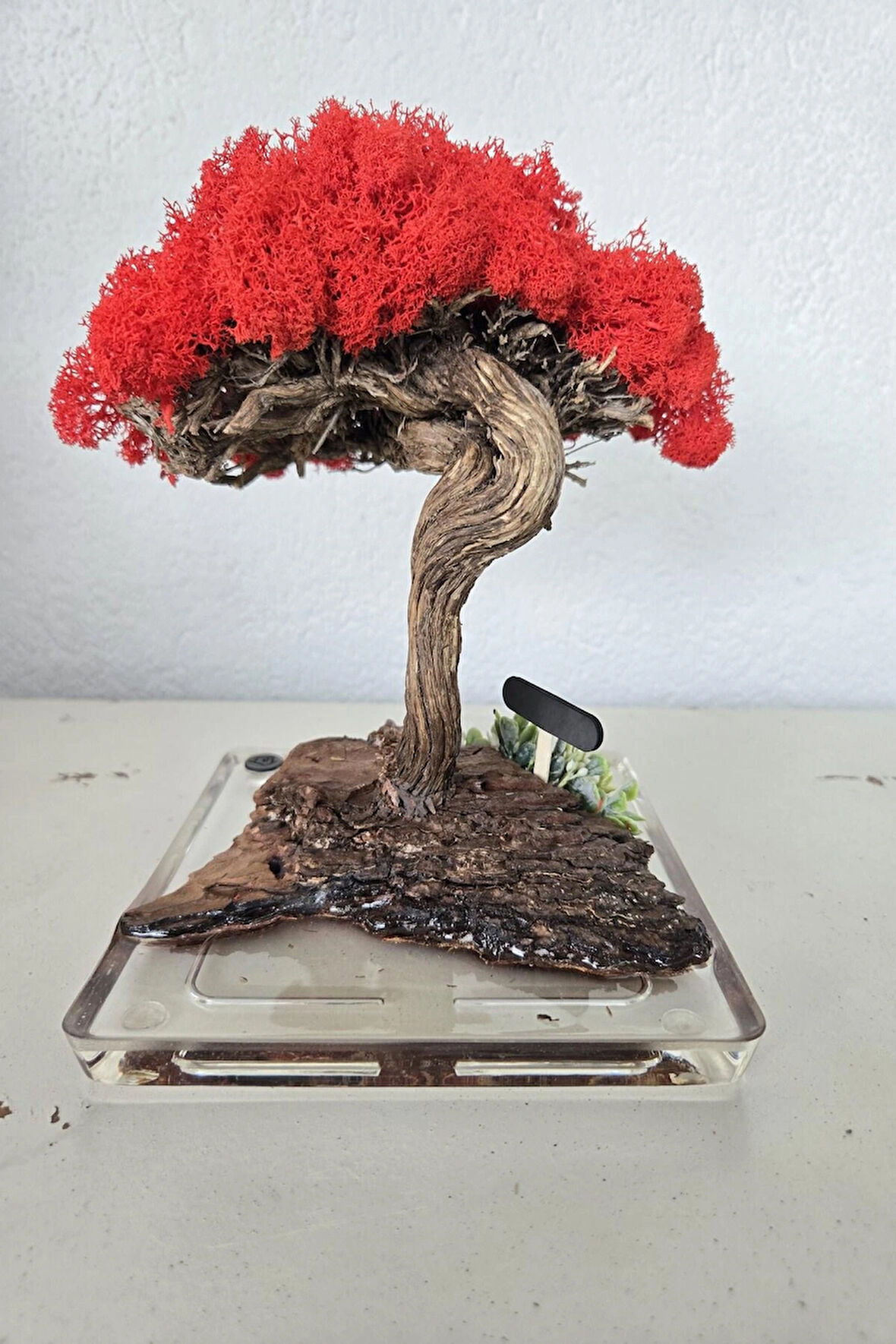 El Yapımı Kırmızı Bonsai Ağaç – Doğal Dal Tabanlı Dekoratif Masa Dekoru