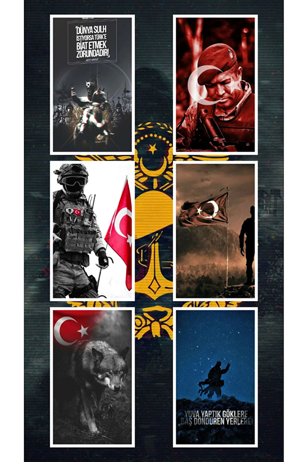 Mehmetçik Türk Askeri Ömer Halisdemir  Kurt Gökbörü TSK Bayrak Sticker set