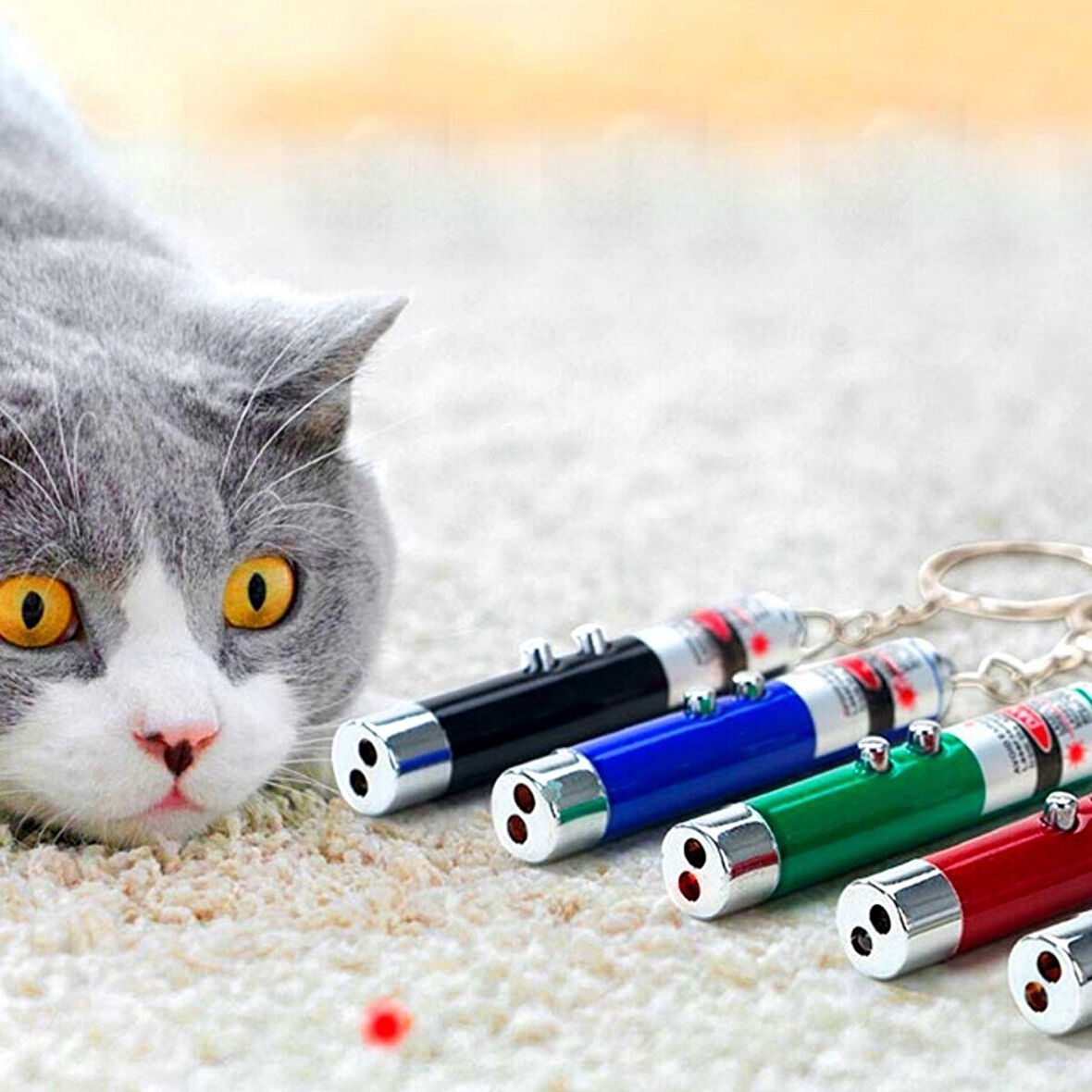 3 Fonksiyonlu Kırmızı Beyaz Işıklı Led Lazer Kedi Köpek Oyuncak Anahtarlık (